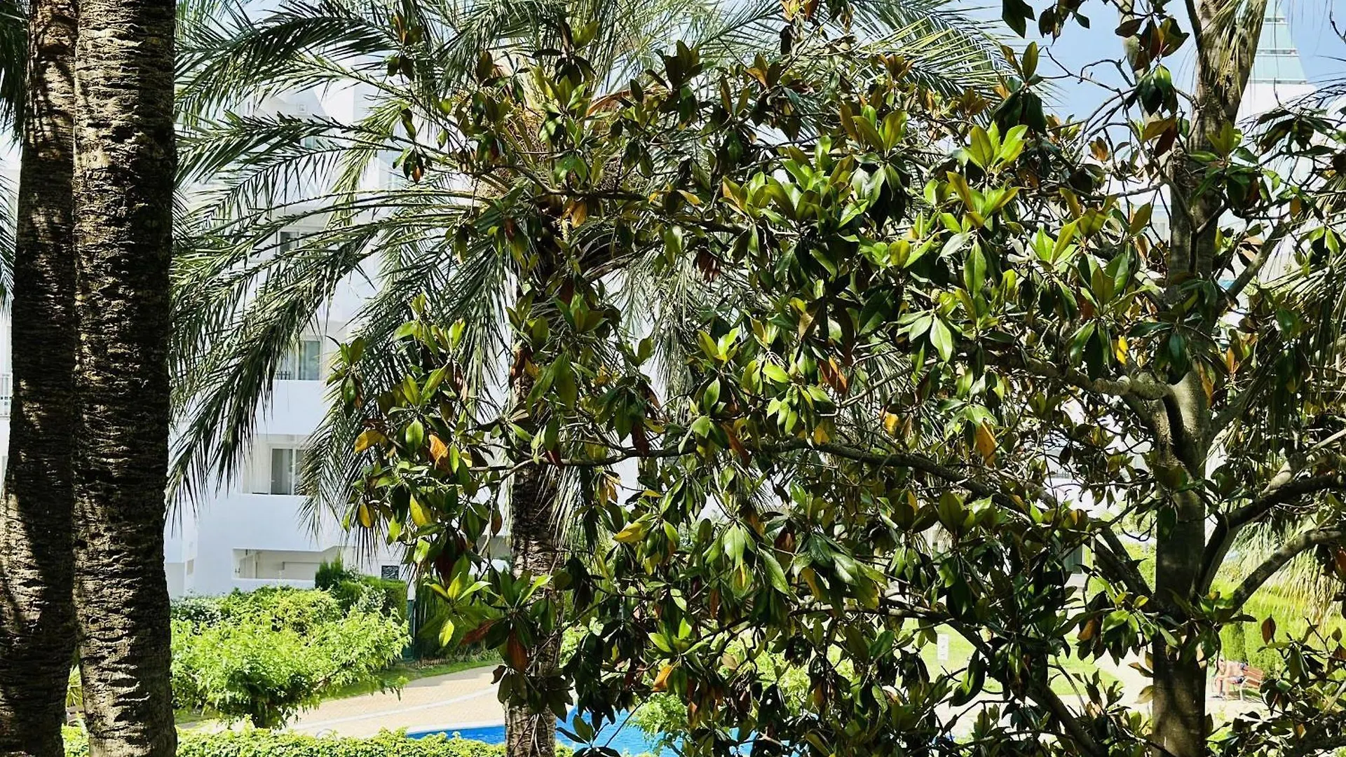Apartamento Con Vista Y Piscina Salada, Cerca De La Playa Y Parque Natural, Wi-Fi Gratis - Es-258-112 Roses